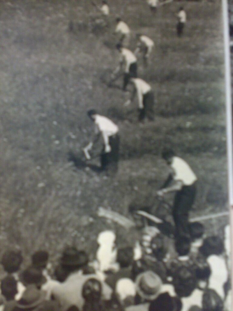 Zgodovina Izlak 13