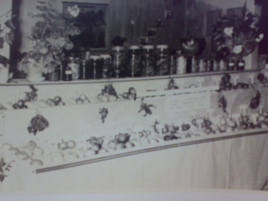 Zgodovina Izlak 14