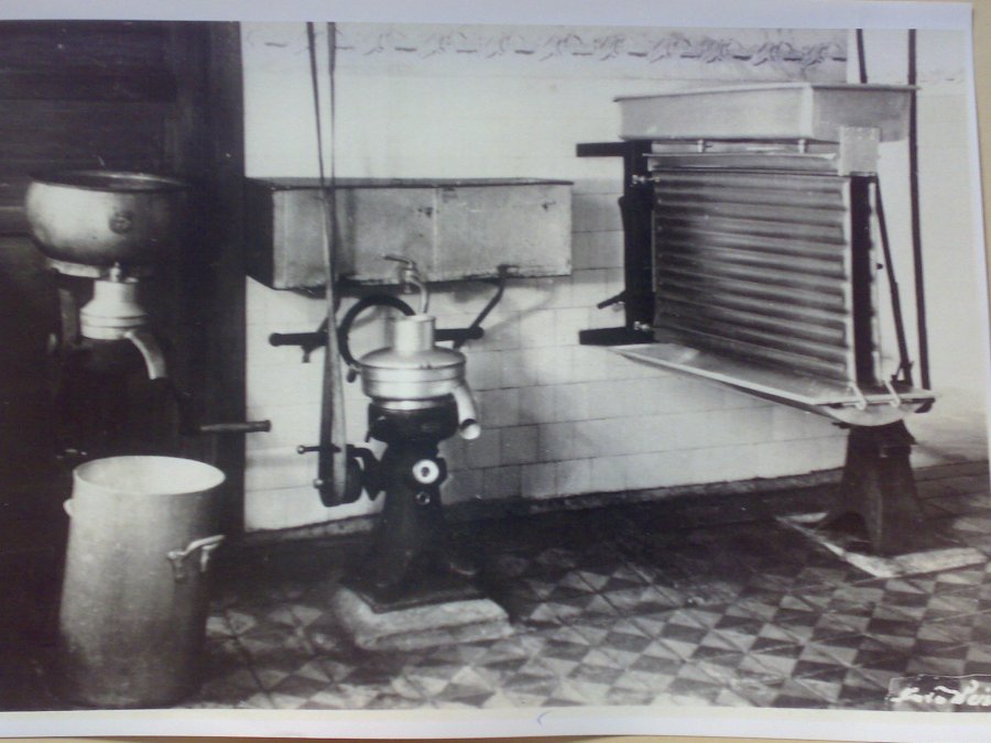 Zgodovina Izlak 8